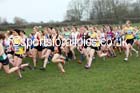 Senior womens Inter Counties Cross Country, Prestwold Hall, Loughborough. Photo: David T. Hewitson/Sports for All Pics
